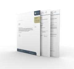 Microsoft Windows 10 Professional Licencia de descarga 1 PC